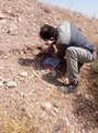اجرای مرحله دوم عملیات جونده‌کشی در ۱۳ روستای هدف شهرستان نی‌ریز